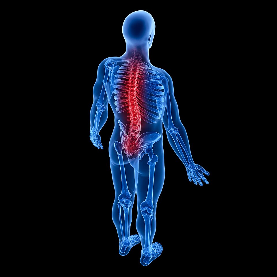 3D medical illustration with a red highlight over the lower spine and sacral region illustrating inflammatory back pain and sacroiliac involvement