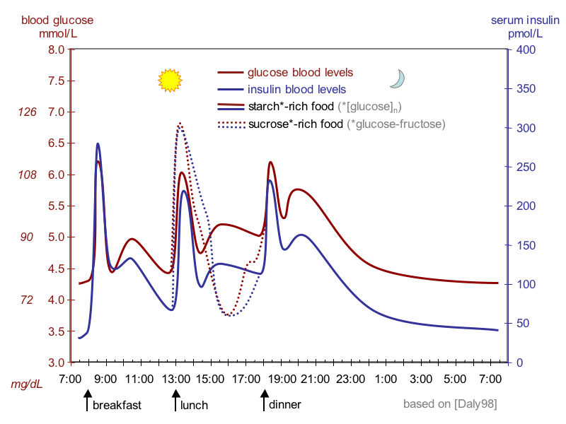 Daily glucose and insulin secretion curve