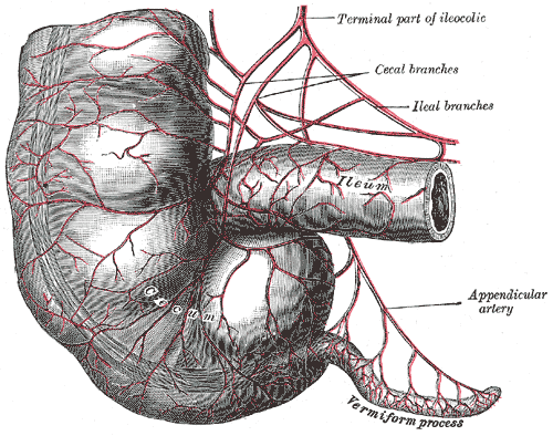 SMA and branches
