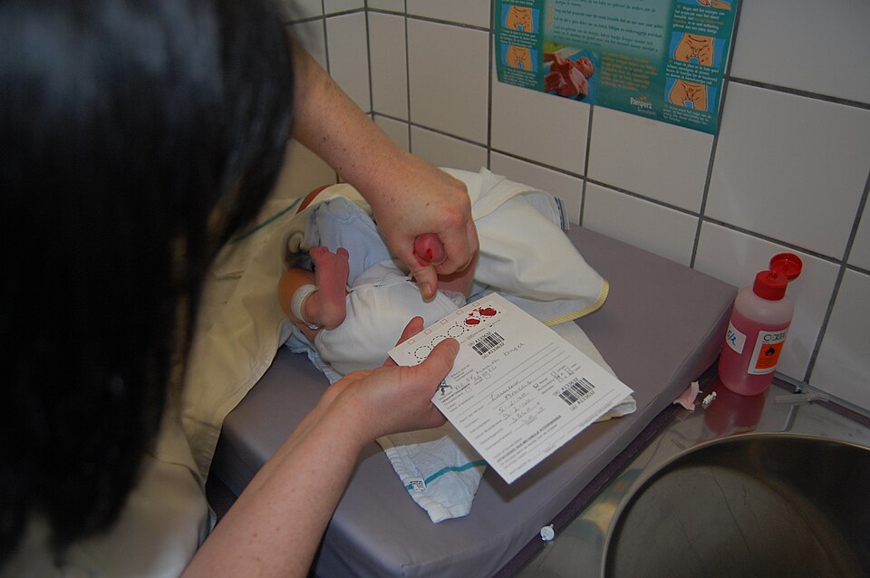 Newborn heel prick for blood spot collection